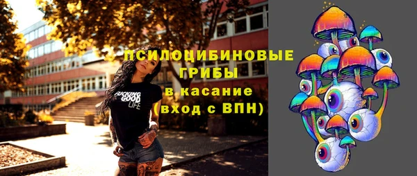Альфа ПВП Корсаков