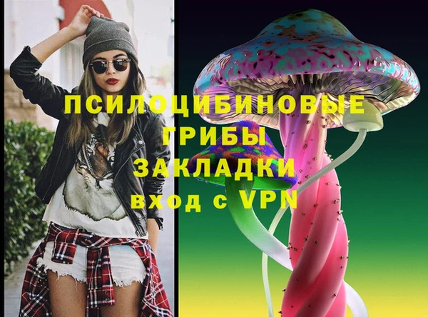 Альфа ПВП Корсаков
